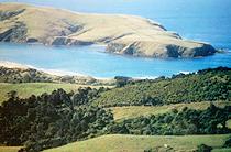 Waikawa Estuary