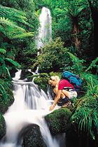 Hollyford Valley Walk