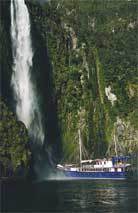 Cruising on Milford Sound