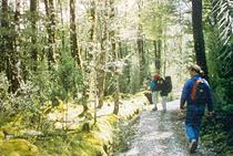 Milford Track