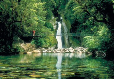 Giant Gate Waterfall - Milford Track