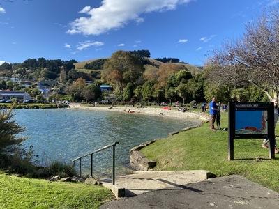 Macandrew Bay Beach