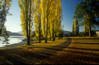 Te Anau lakefront in autumn