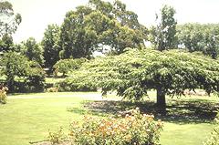 Invercargill