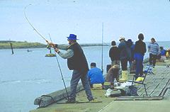 Invercargill