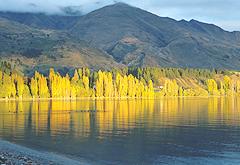 Lake Wanaka